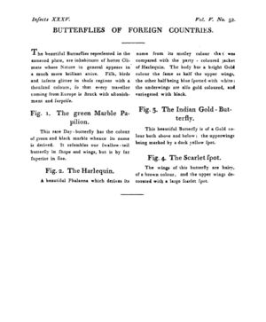Ad00341 04 054a03.jpg