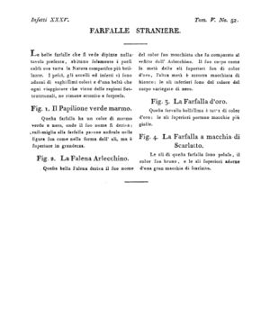 Ad00341 04 054a04.jpg