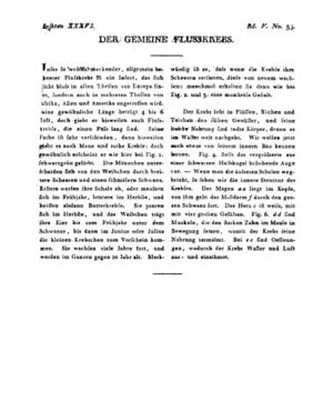 Ad00341 04 055a01.jpg