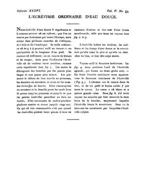 Ad00341 04 055a02.jpg