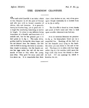 Ad00341 04 055a03.jpg