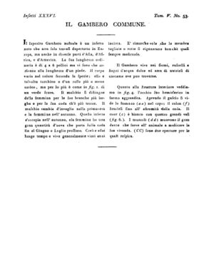 Ad00341 04 055a04.jpg