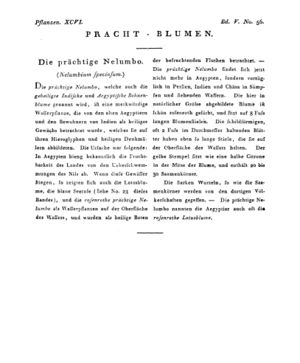 Ad00341 04 058a01.jpg