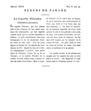 Ad00341 04 058a02.jpg