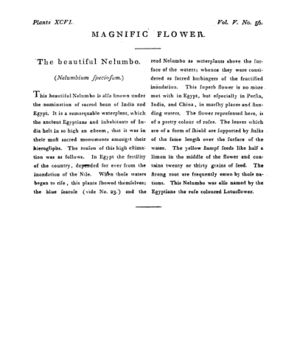 Ad00341 04 058a03.jpg