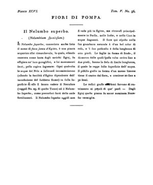 Ad00341 04 058a04.jpg