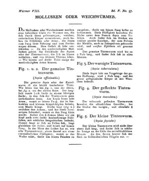 Ad00341 04 059a01.jpg