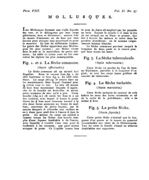 Ad00341 04 059a02.jpg