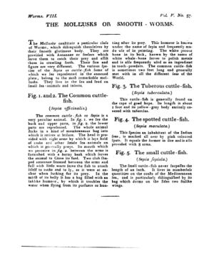 Ad00341 04 059a03.jpg