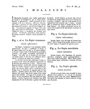 Ad00341 04 059a04.jpg