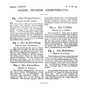 Ad00341 04 060a01.jpg