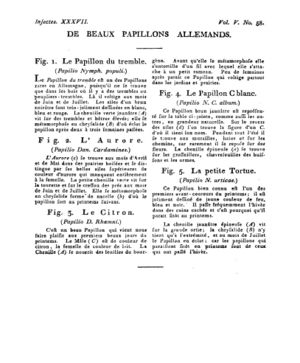 Ad00341 04 060a02.jpg