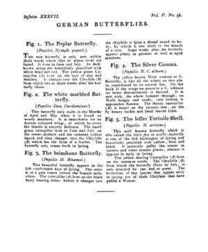 Ad00341 04 060a03.jpg