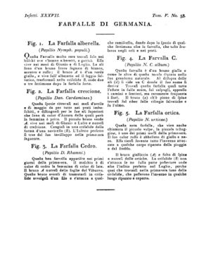 Ad00341 04 060a04.jpg
