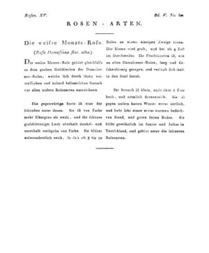 Ad00341 04 062a01.jpg