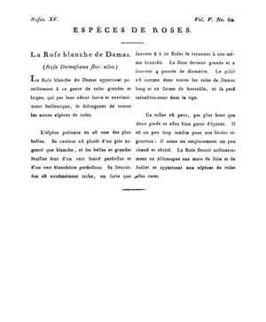 Ad00341 04 062a02.jpg