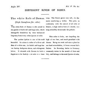 Ad00341 04 062a03.jpg