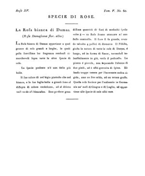 Ad00341 04 062a04.jpg