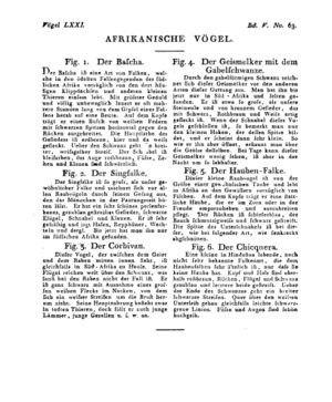 Ad00341 04 065a01.jpg