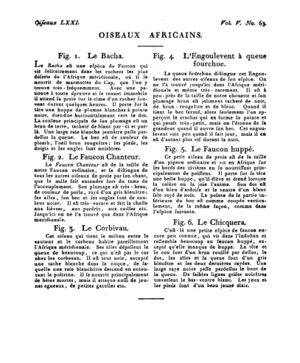 Ad00341 04 065a02.jpg