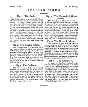 Ad00341 04 065a03.jpg