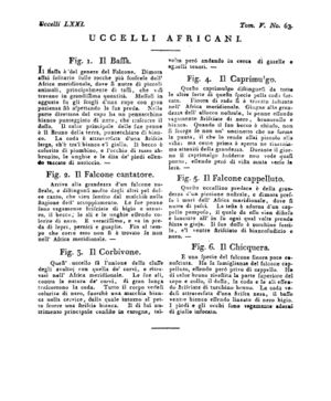 Ad00341 04 065a04.jpg