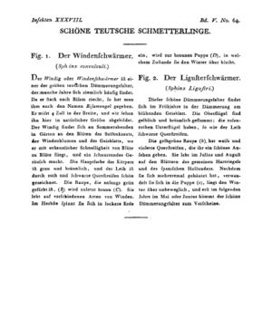 Ad00341 04 066a01.jpg