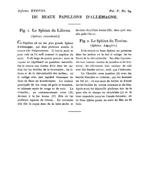 Ad00341 04 066a02.jpg
