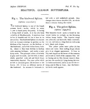 Ad00341 04 066a03.jpg