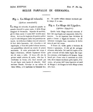 Ad00341 04 066a04.jpg