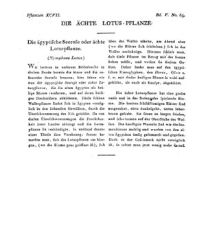 Ad00341 04 067a01.jpg