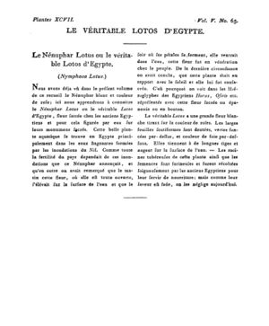 Ad00341 04 067a02.jpg