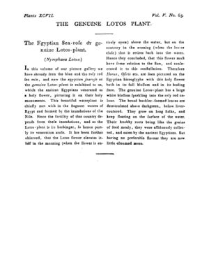 Ad00341 04 067a03.jpg