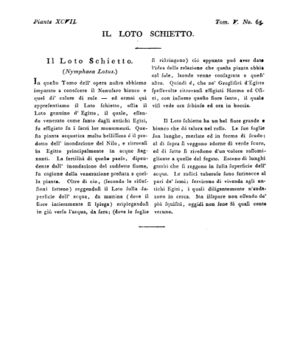 Ad00341 04 067a04.jpg