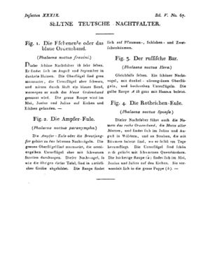 Ad00341 04 069a01.jpg