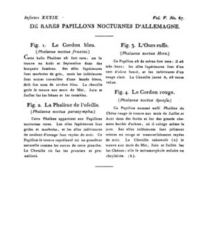 Ad00341 04 069a02.jpg