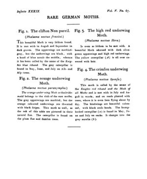 Ad00341 04 069a03.jpg