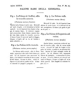 Ad00341 04 069a04.jpg