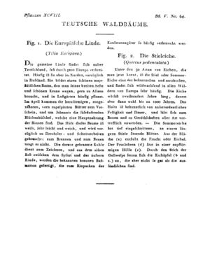 Ad00341 04 070a01.jpg