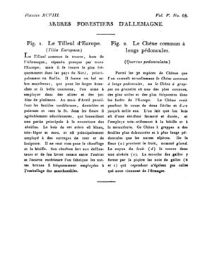 Ad00341 04 070a02.jpg