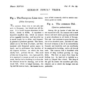 Ad00341 04 070a03.jpg