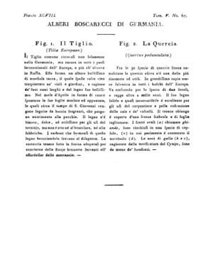 Ad00341 04 070a04.jpg