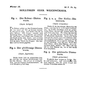 Ad00341 04 071a01.jpg