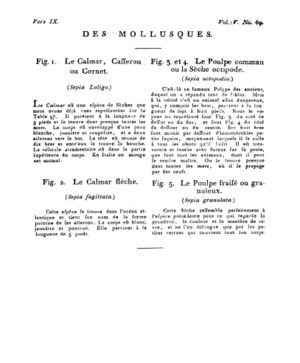 Ad00341 04 071a02.jpg