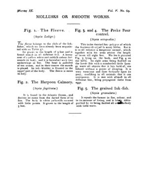 Ad00341 04 071a03.jpg