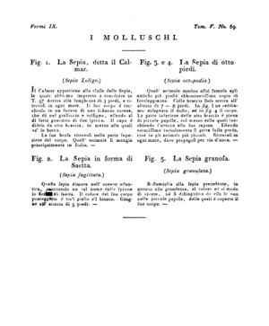 Ad00341 04 071a04.jpg