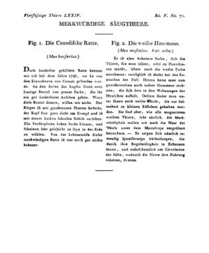 Ad00341 04 073a01.jpg