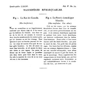 Ad00341 04 073a02.jpg