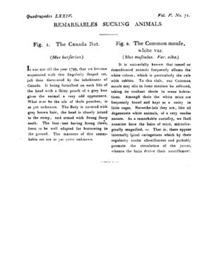 Ad00341 04 073a03.jpg