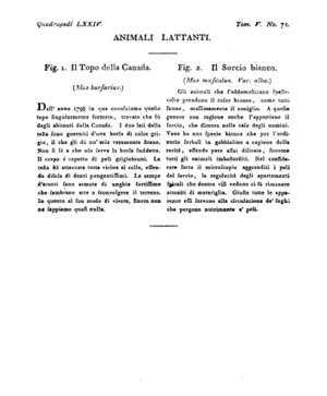 Ad00341 04 073a04.jpg